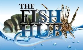 The Fish Hub