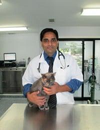 Veterinarian in Concord, CA