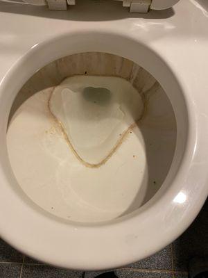 A supposedly cleaned toilet