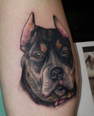 Portrait tattoo of my dog, Maiden. Done by April on October 19, 2019.