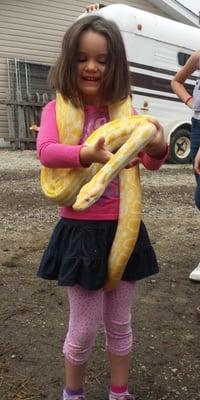 Albino Burmese Python!