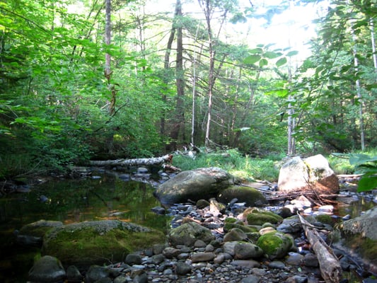 River from the lower hiking trail.