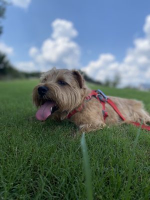 Taking a breather in the shade!