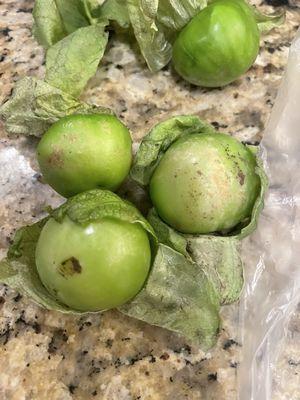 These tomatillos are not good for consuming.