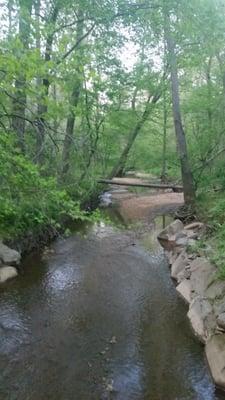 Sally Ormsby Park:  Accotink Creek