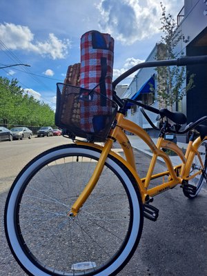 Tandem picnic for two