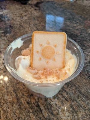 Dreamy banana pudding