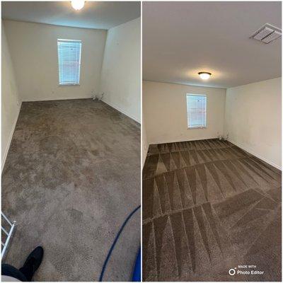 Pet stain and odor removal before and after