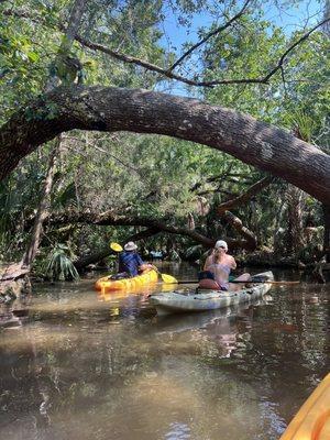 Florida Eco-Adventures