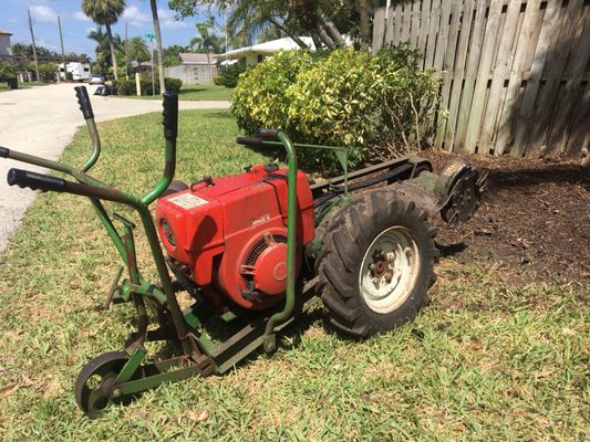 Spot Pond Tree Service