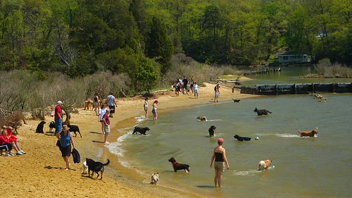 Bring the kids in for a wash after that fabulous day at The River.