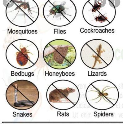 Pest control for affordable price call us today 202 440 4555