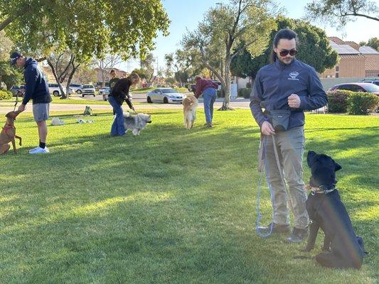 Group classes are an excellent way for your dog to learn good manners while around distractions.