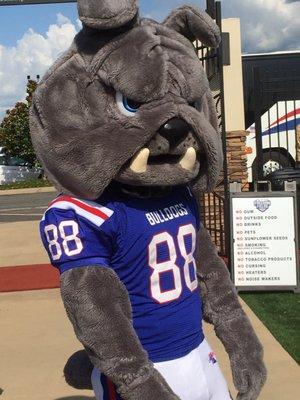 8/18/17. Friday afternoon. Louisiana Tech University Football Fan Day! Bulldog mascot, Champ!!