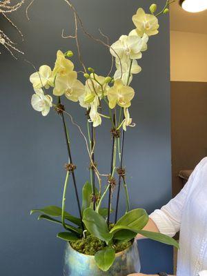 Front desk flowers