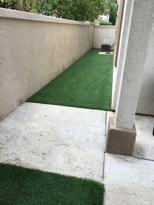 After Artificial Lawn