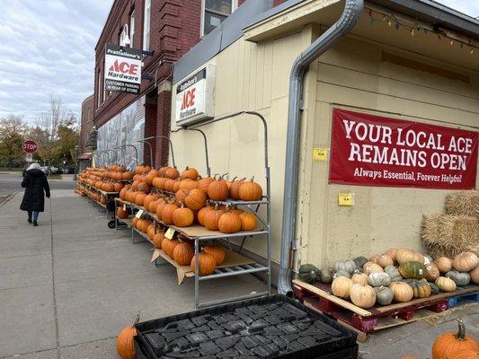 Pumpkin weather