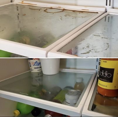 Fridge Before/After