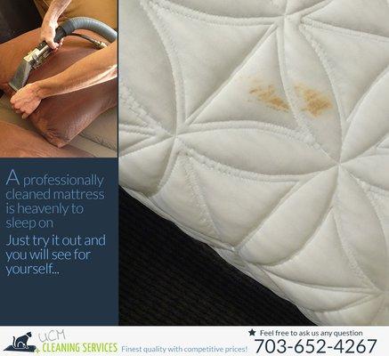 upholstery cleaning