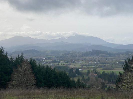 View looking west on a January day