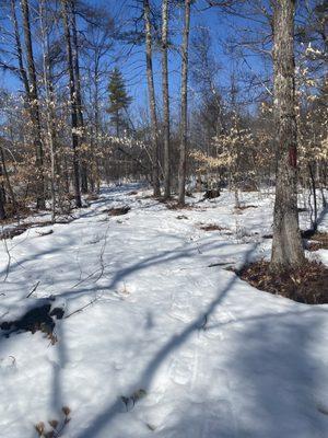 Hiking trails on the property