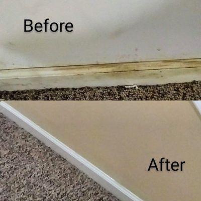 Mildew treatment and paint