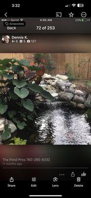 New pond water garden designed/built by Dennis Kading, his company, The Pond Pros of Southern California-626-206-7236 service/ design