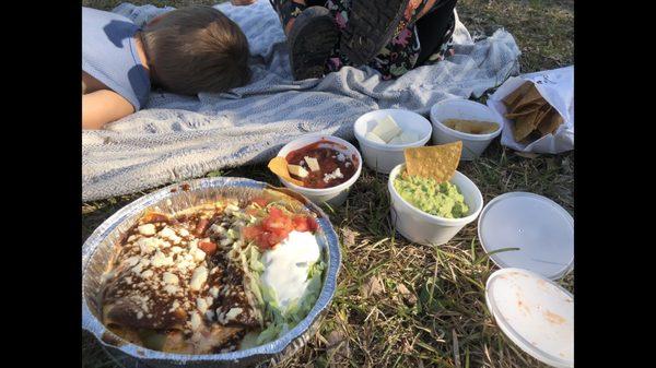 Assorted takeout for our picnic including enchiladas, guacamole, salsa, cut up cheese, pineapple slices and tortilla chips.