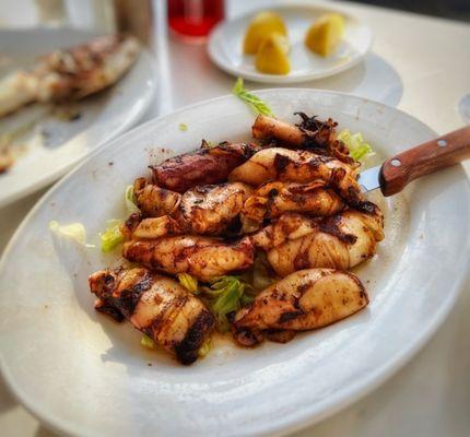 Grilled Calamari