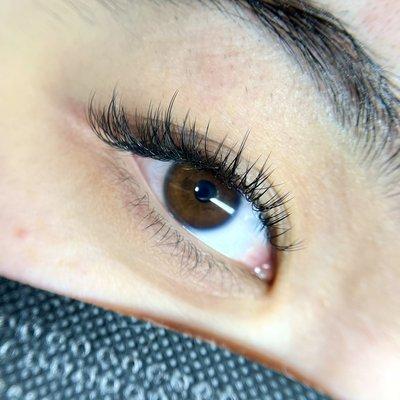 Lash extensions