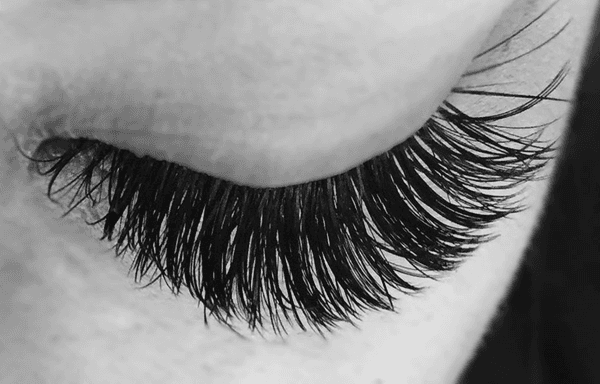 Feather Lash by Theresa