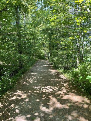 A view of the first half of the trail. Wide, flat, easy walking!