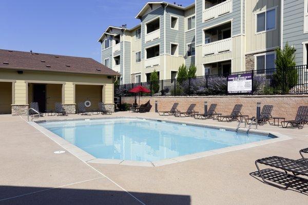 Sparkling swimming pool