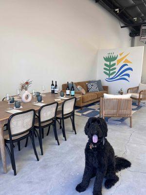 The River Club is kid and pet friendly!