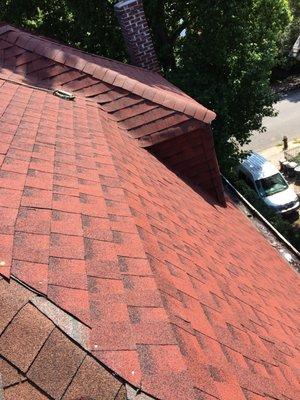 Installing red timberline shingles