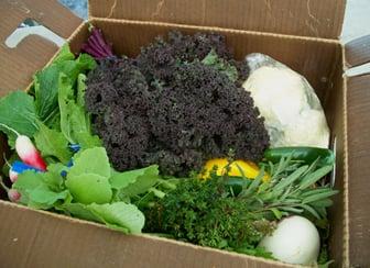 A Growing Home CSA Share Box