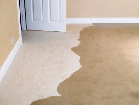 PuroClean can handle large or small water damaged areas.