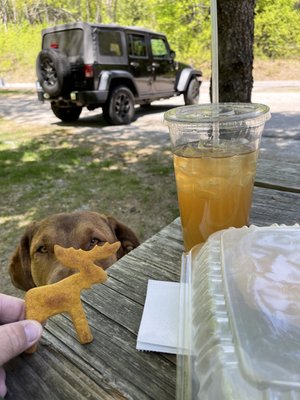 Moose Biscuits for Dogs!