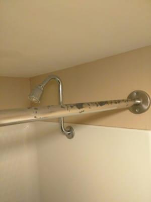 Shower rod