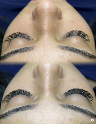 2D lashes touch up after 6 weeks