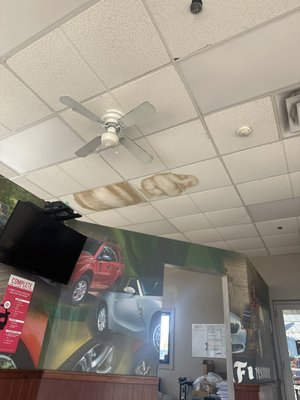 Water leaking and ceiling panels falling down-