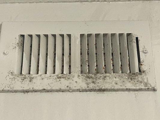 Mold grow on air vent onto the wall