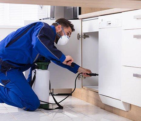 Man spraying a kitchen for pests