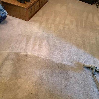 Carpet cleaning: before & after