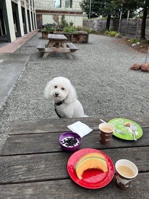 Breakfast outside with Clara