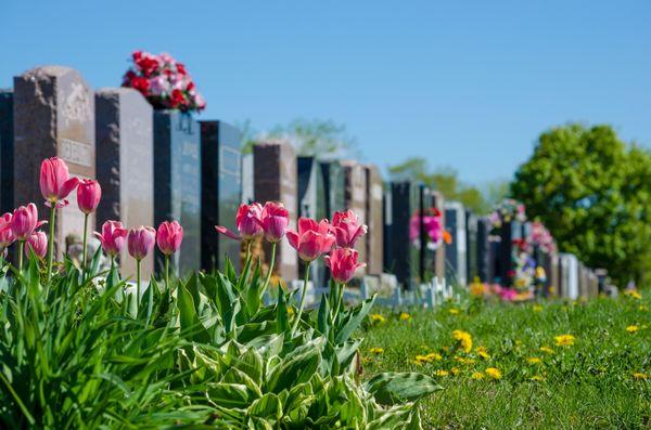 Bay View Cemetery Assn