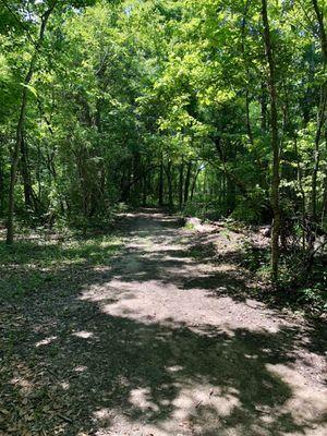 One of the views when walking on the trail through the woods