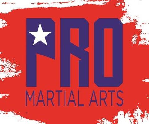 Mixed Martial Arts in a traditional curriculum