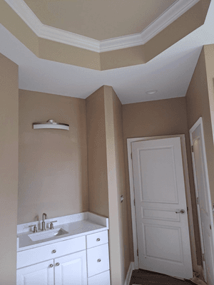 Brand new bathroom painting