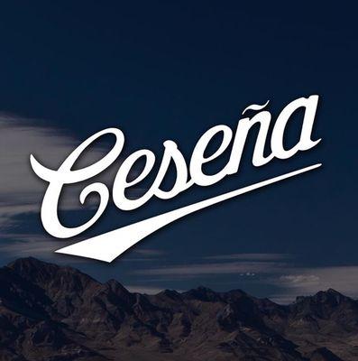 Cesena Designs